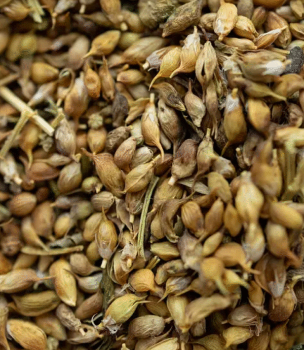 Captura de pantalla 2025-09-23 a la(s) 18.47.11 Exclusivo Khmeli Suneli: El Oro del Cáucaso (Edición Limitada) formato Chef