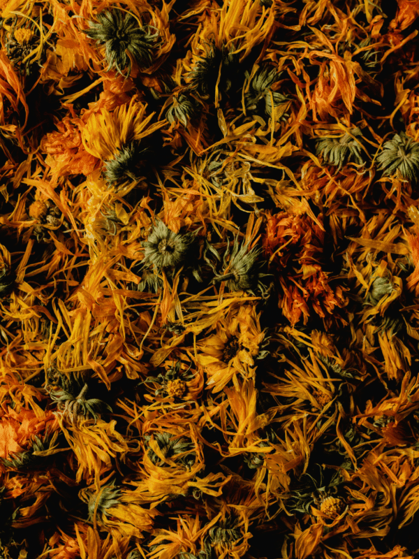 Diseño sin título-5 Exclusivo Khmeli Suneli: El Oro del Cáucaso (Edición Limitada) formato Chef